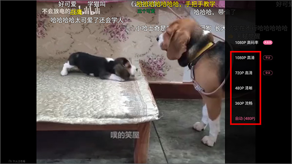 哔哩哔哩漫画手机客户端