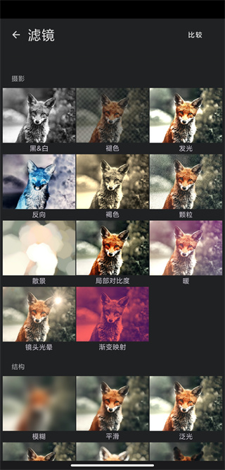 Painter2025最新版