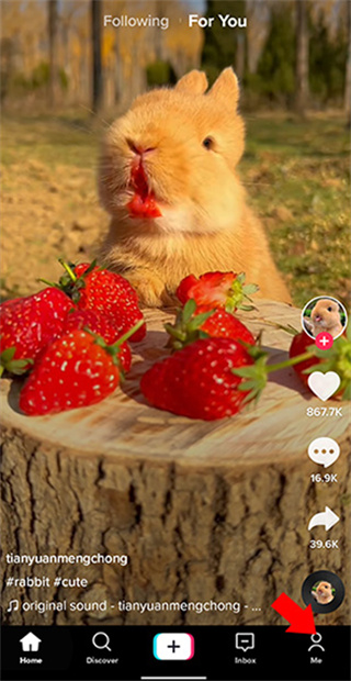 tiktok最新版本2025下载