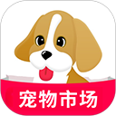 宠物市场