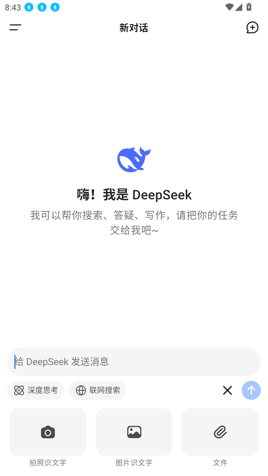 DeepSeek