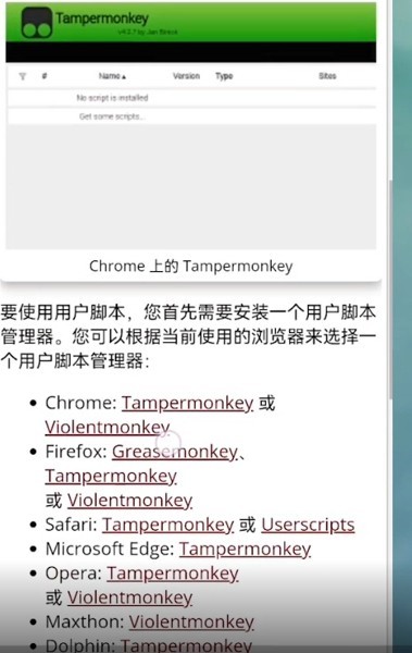 Via浏览器国际版