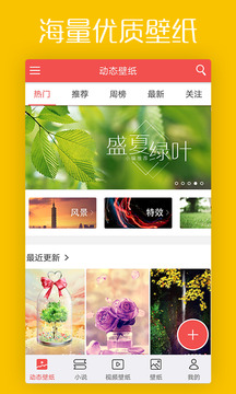 动态壁纸高清优选