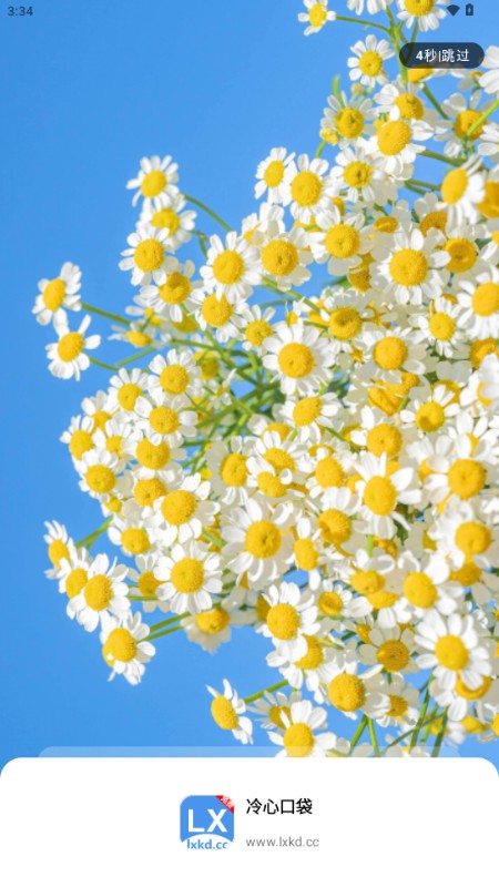 冷心口袋2025最新版本 冷心口袋2025最新版本