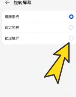 bobo浏览器无国界