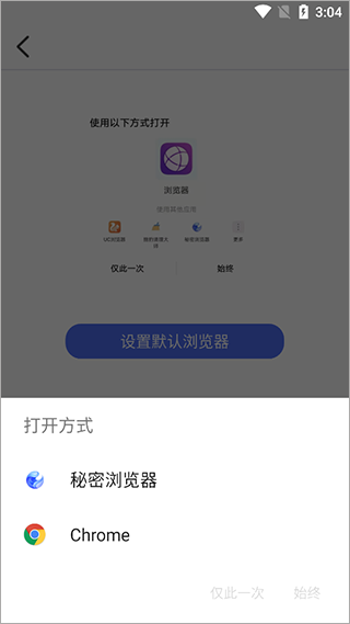 秘密浏览器手机版