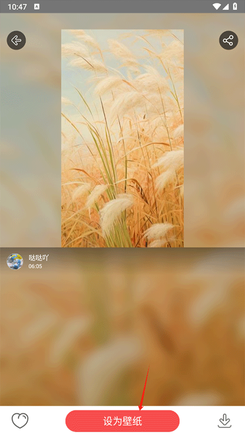 安卓手机动态壁纸