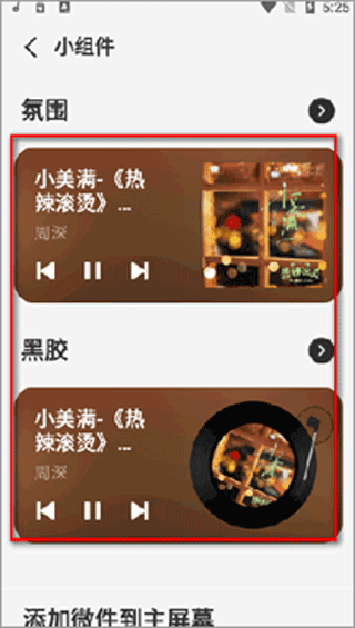 谜底黑胶免费版