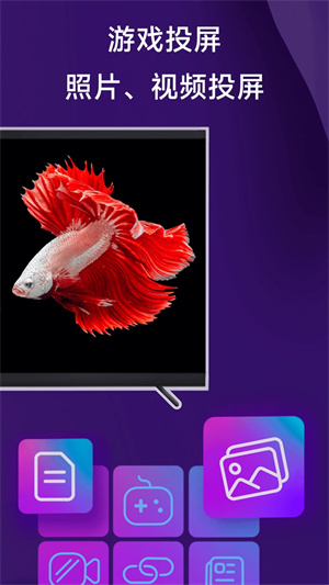 雨燕投屏免升级版