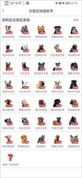 猛犬俱乐部app5
