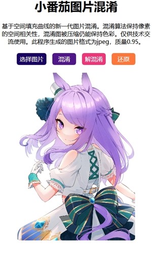 小番茄混淆工具