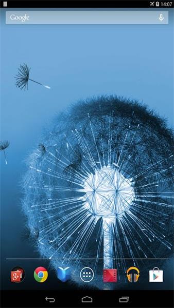 蒲公英动态壁纸