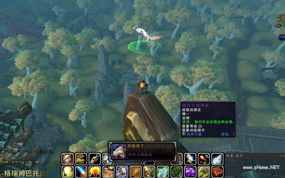 魔兽世界玛瑙翔龙蛋刷新时间是什么时候?