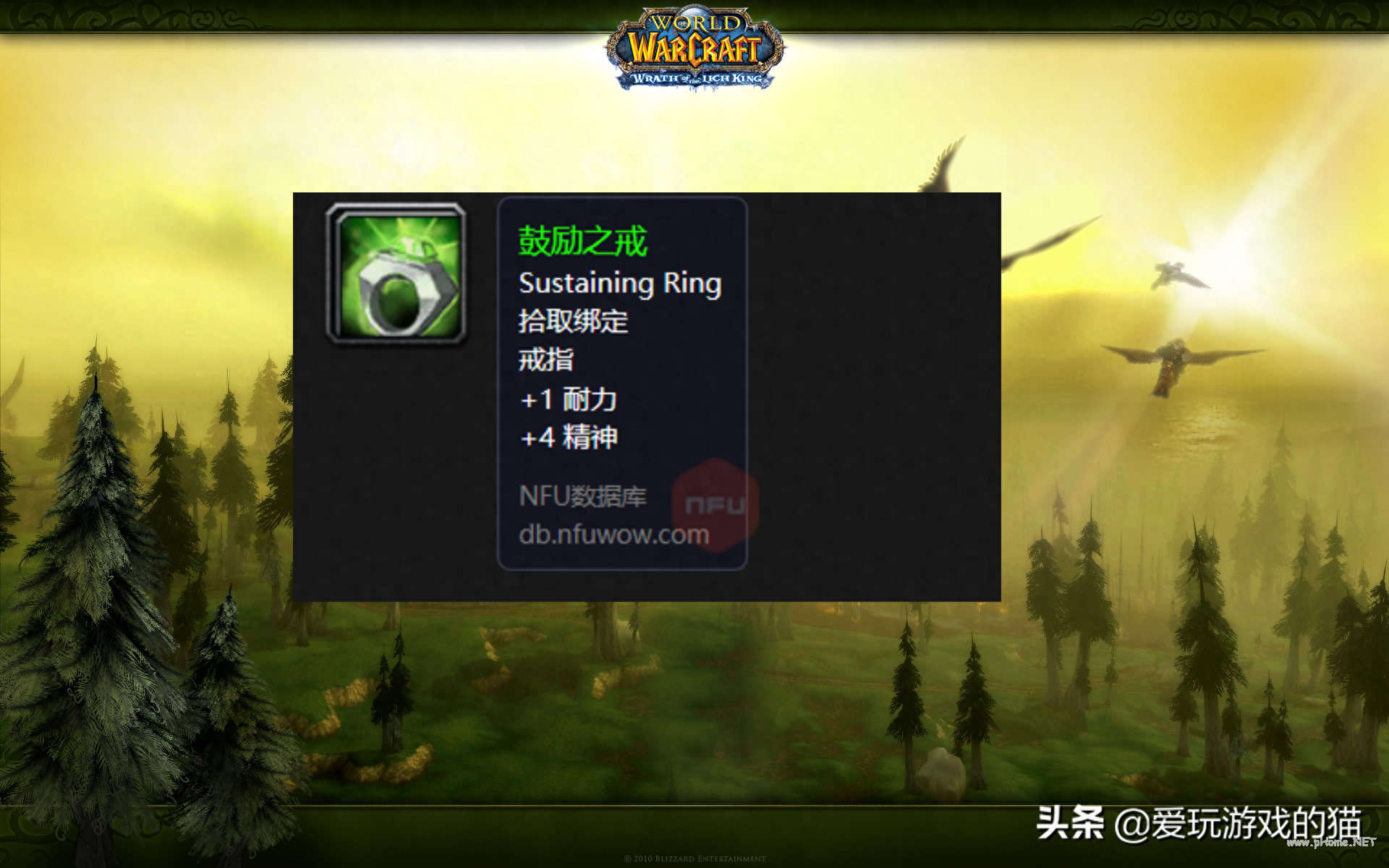 黑暗深渊掉落大全图解(黑石深渊掉落装备一览表)-图13 黑暗深渊掉落大全图解(黑石深渊掉落装备一览表)-图13