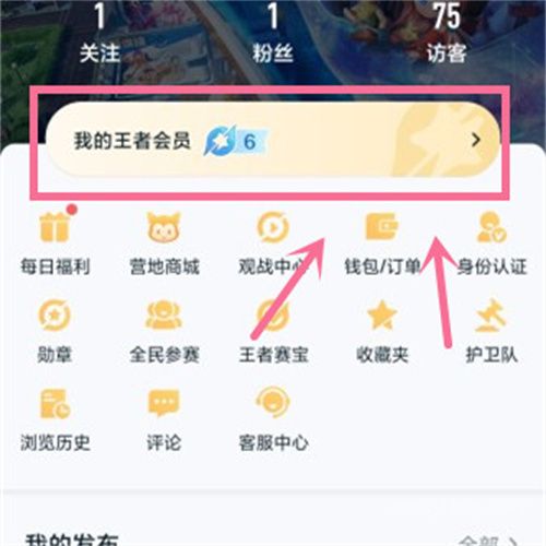 《王者荣耀》星会员入口在哪里 2023星会员最新入口介绍