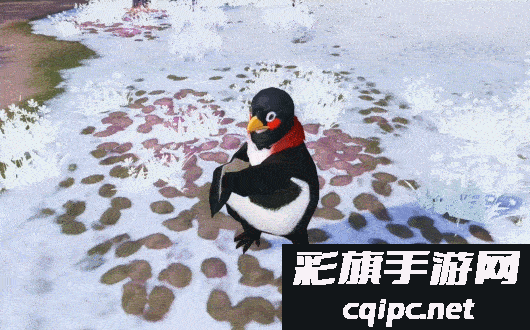 不是鹅场的鹅买不起，而是来天下免费领鹅更有性价比！