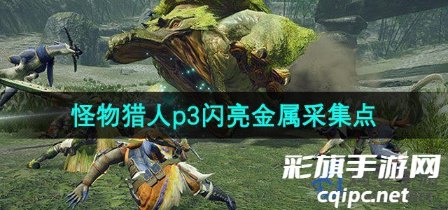 怪物猎人p3闪亮金属在什么地方采集-p3闪亮金属采集点位置大全