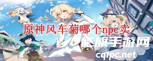 原神风车菊哪个npc卖