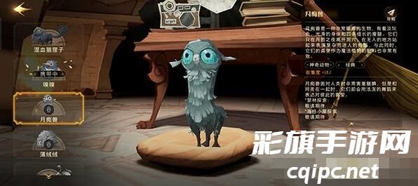 《哈利波特：魔法觉醒》魔法灯谜会答案一览