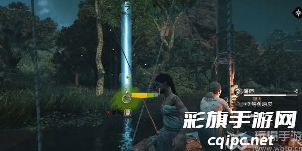 碧海黑帆金合欢怎么采集