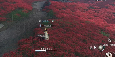 逆水寒手游童心寻趣任务怎么玩-童心寻趣任务流程一览