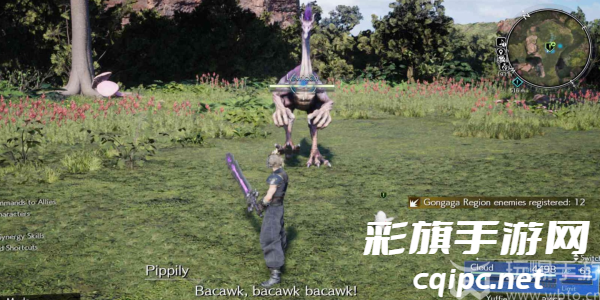 最终幻想7重生我的宝贝小鸡任务怎么做