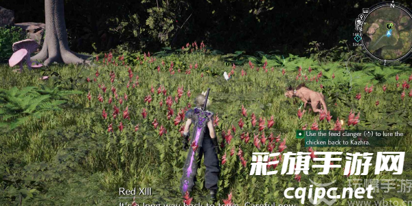 最终幻想7重生我的宝贝小鸡任务怎么做