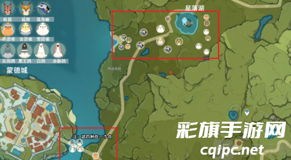 原神小动物分布位置大全 原神小动物分布位置介绍