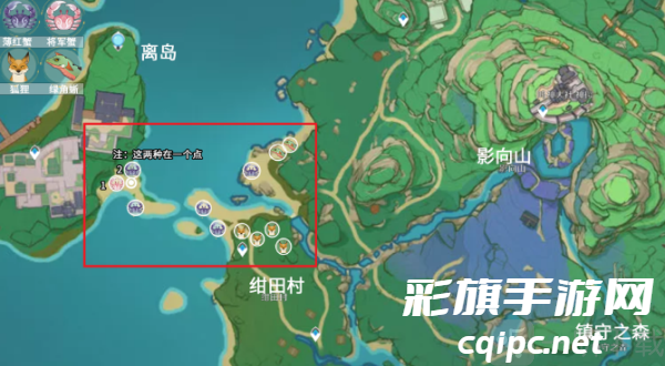 原神小动物分布位置大全 原神小动物分布位置介绍