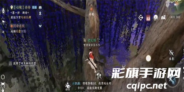 逆水寒手游同命连枝奇遇怎么做 同命连枝奇遇任务攻略[多图]图片5