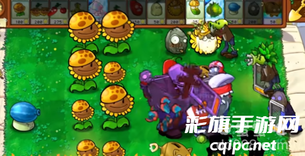 《植物大战僵尸杂交版》v2.2狂野机枪僵尸介绍 《植物大战僵尸杂交版》v2.2狂野机枪僵尸介绍