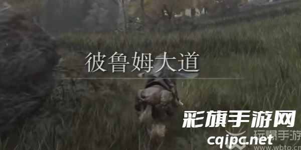 艾尔登法环黄金树幽影指痕葡萄怎么获得