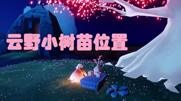 光遇云野小树苗位置在哪
