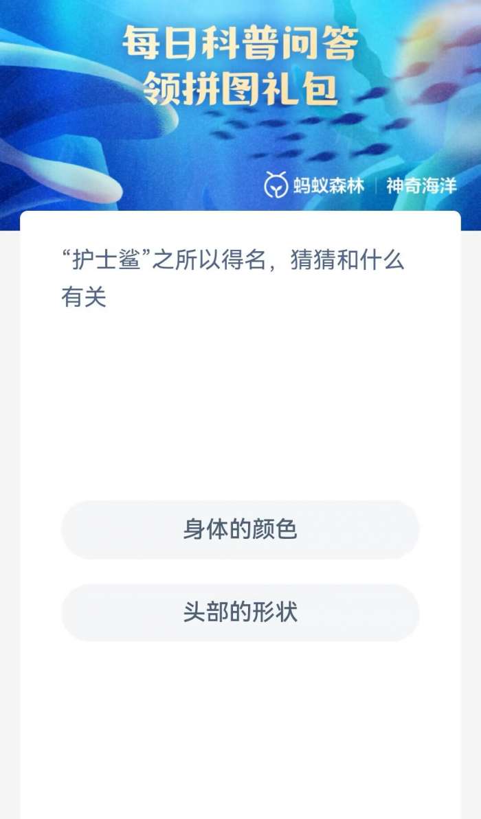 护士鲨为什么叫护士鲨 神奇海洋今日答案最新11.11