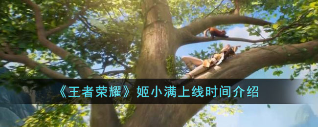 王者荣耀姬小满上线时间介绍