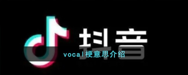 vocal梗意思介绍