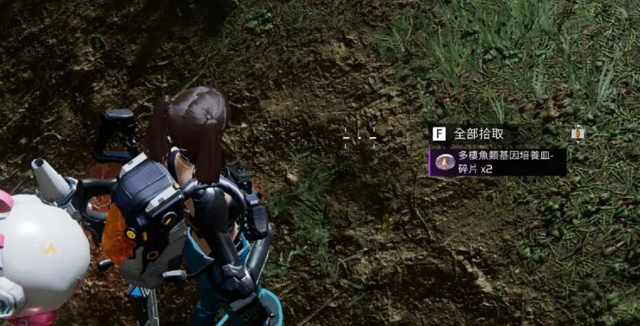 星球重启多栖鱼类基因培养皿怎么获得