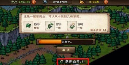 烟雨江湖白芍采集点