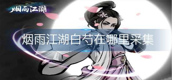 烟雨江湖白芍采集点