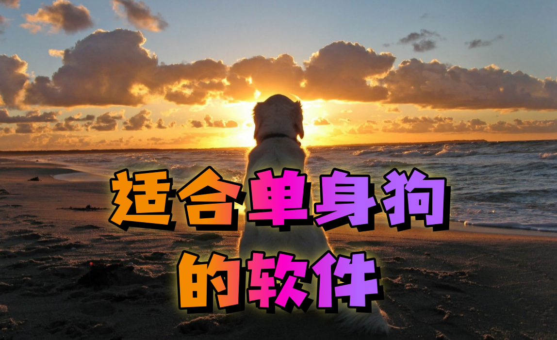 适合单身狗的软件