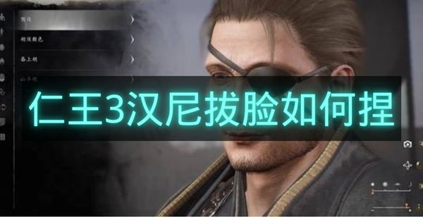 仁王3汉尼拔脸如何捏-仁王3汉尼拔捏脸码推荐
