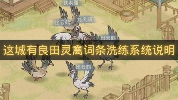 这城有良田灵禽词条洗练系统说明-这城有良田灵禽词条洗练指南