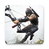 忍者的信条手机版