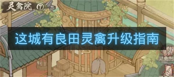 这城有良田灵禽升级指南-这城有良田灵禽怎么升星