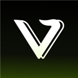 viggleai视频生成