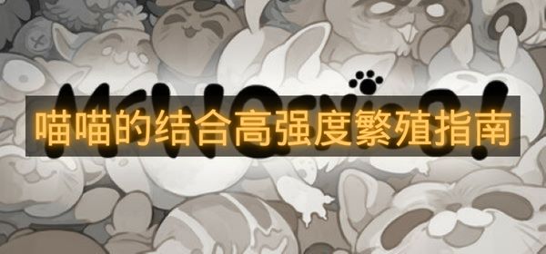 喵喵的结合高强度繁殖指南-喵喵的结合怎么繁殖