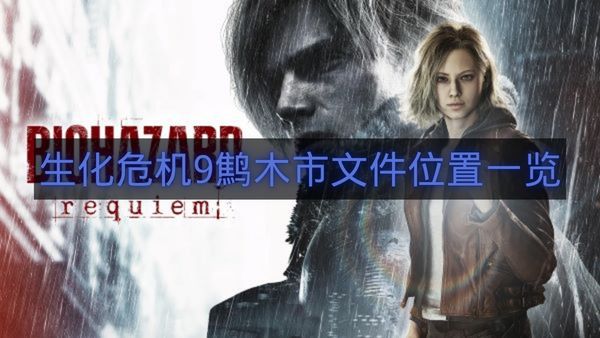 生化危机9鹪木市文件位置一览-生化危机9鹪木市文件在哪里
