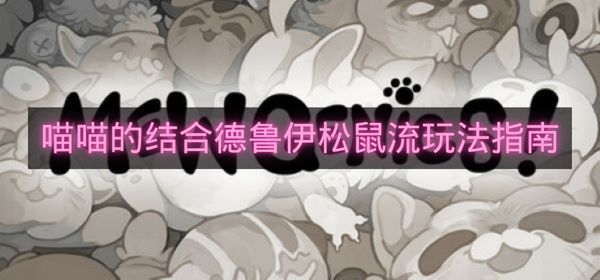 喵喵的结合德鲁伊松鼠流玩法指南-喵喵的结合德鲁伊松鼠流怎么搭配