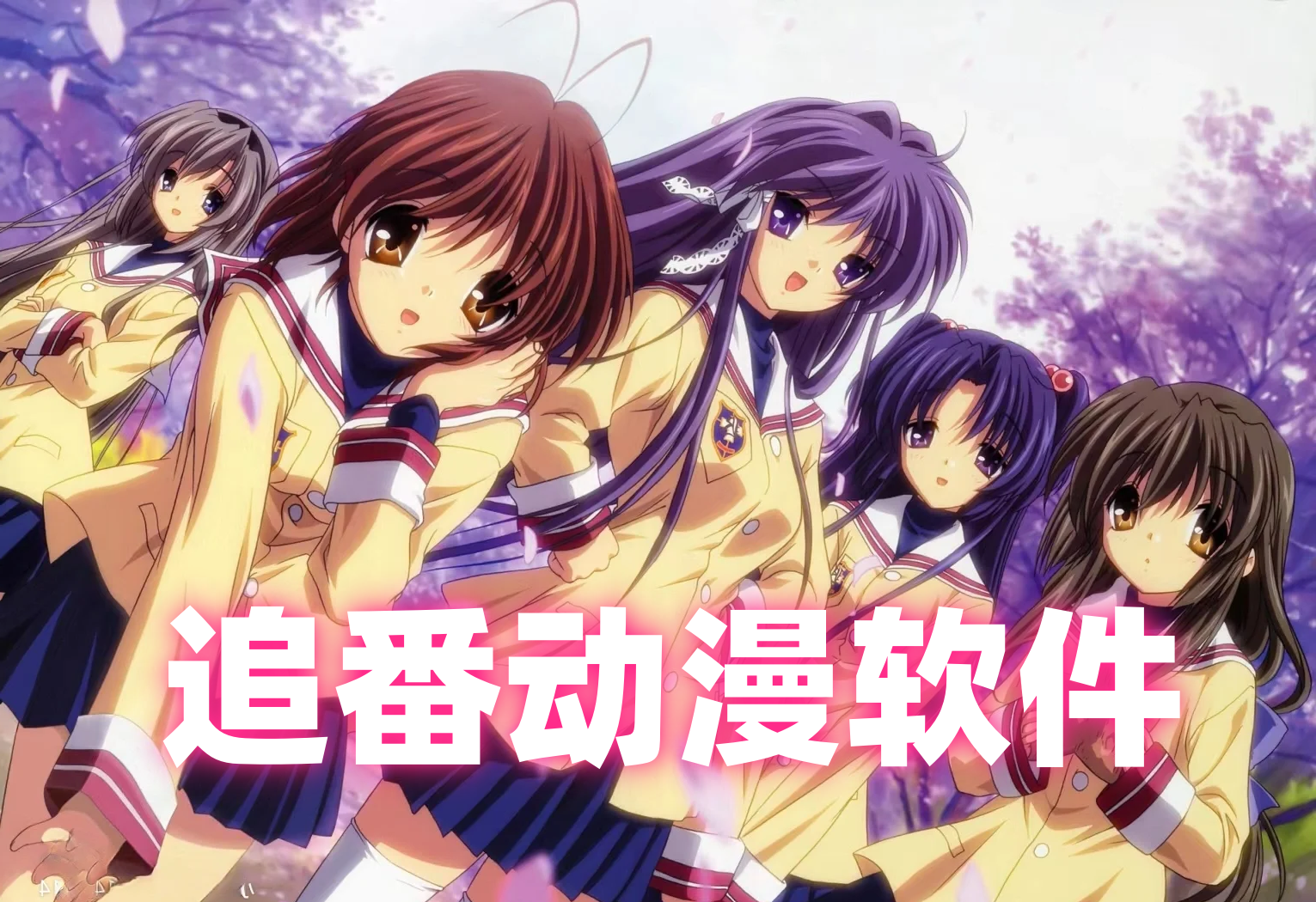 追番动漫软件