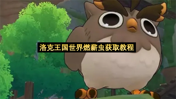 洛克王国世界燃薪虫获取教程-洛克王国世界燃薪虫技能分享